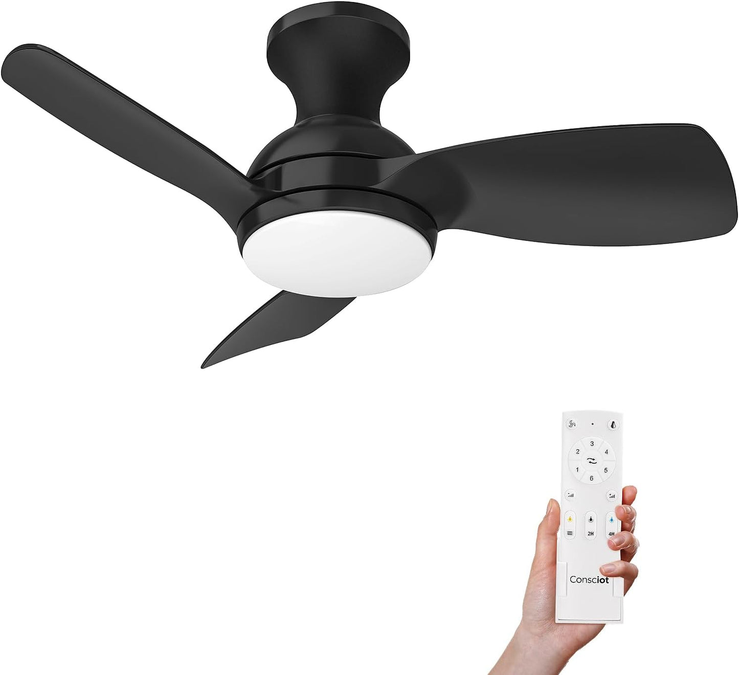 Consciot Ceiling Fan, 30 Inch Ceiling Fan With Lights Remote Control, Black Low Profile Modern Ceiling Fan, Flush Mount, Reversible Quiet DC Motor, 6 Speed, Dimmable, Kitchen Bedroom Patio Damp Rated