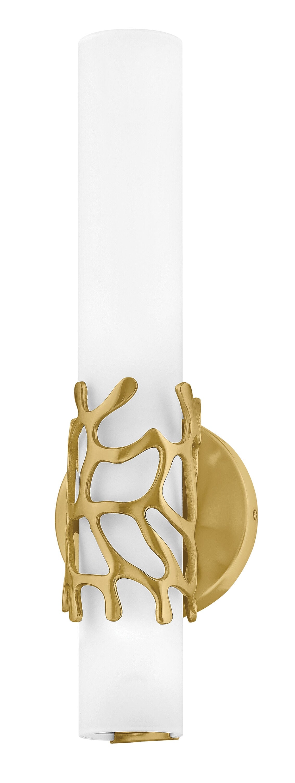 Hinkley Lyra 4.75-in 1 -Light Antique Brass Integrated LED Coastal Vanity light 5662933