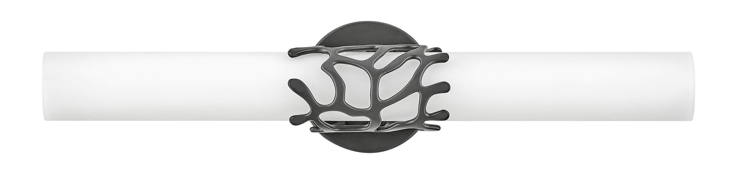 Hinkley Lyra 22.5-in 2 -Light Matte Black Integrated LED Coastal Vanity light 5663132