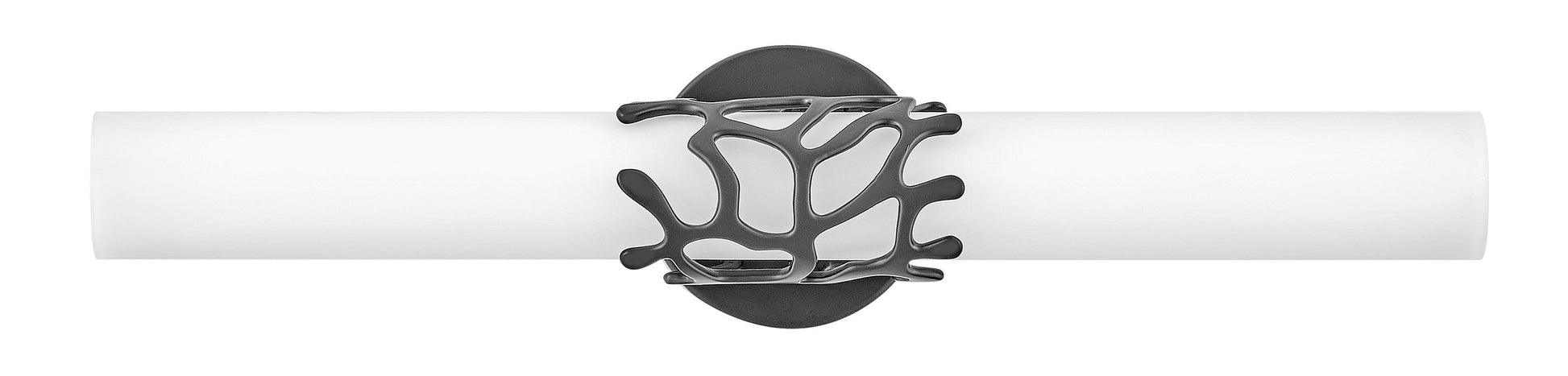 Hinkley Lyra 22.5-in 2 -Light Matte Black Integrated LED Coastal Vanity light 5663132