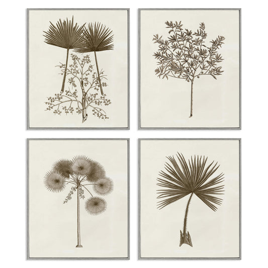 Stupell Industries  Various Vintage Palm Leaves 4pc Framed Giclee Set Design by Phillipa Katz