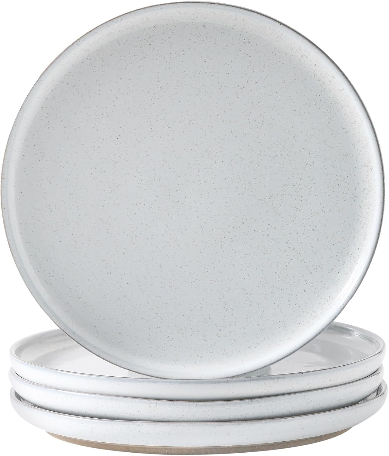 Tikooere Ceramic Dinner Plates Set of 4,Stoneware 10 Inch,Microwave,Dishwasher and Oven Safe,Porcelain Dessert Plates for Pasta,Salad and Steak,Dishes Set for Kitchen,Scratch Resistant,White