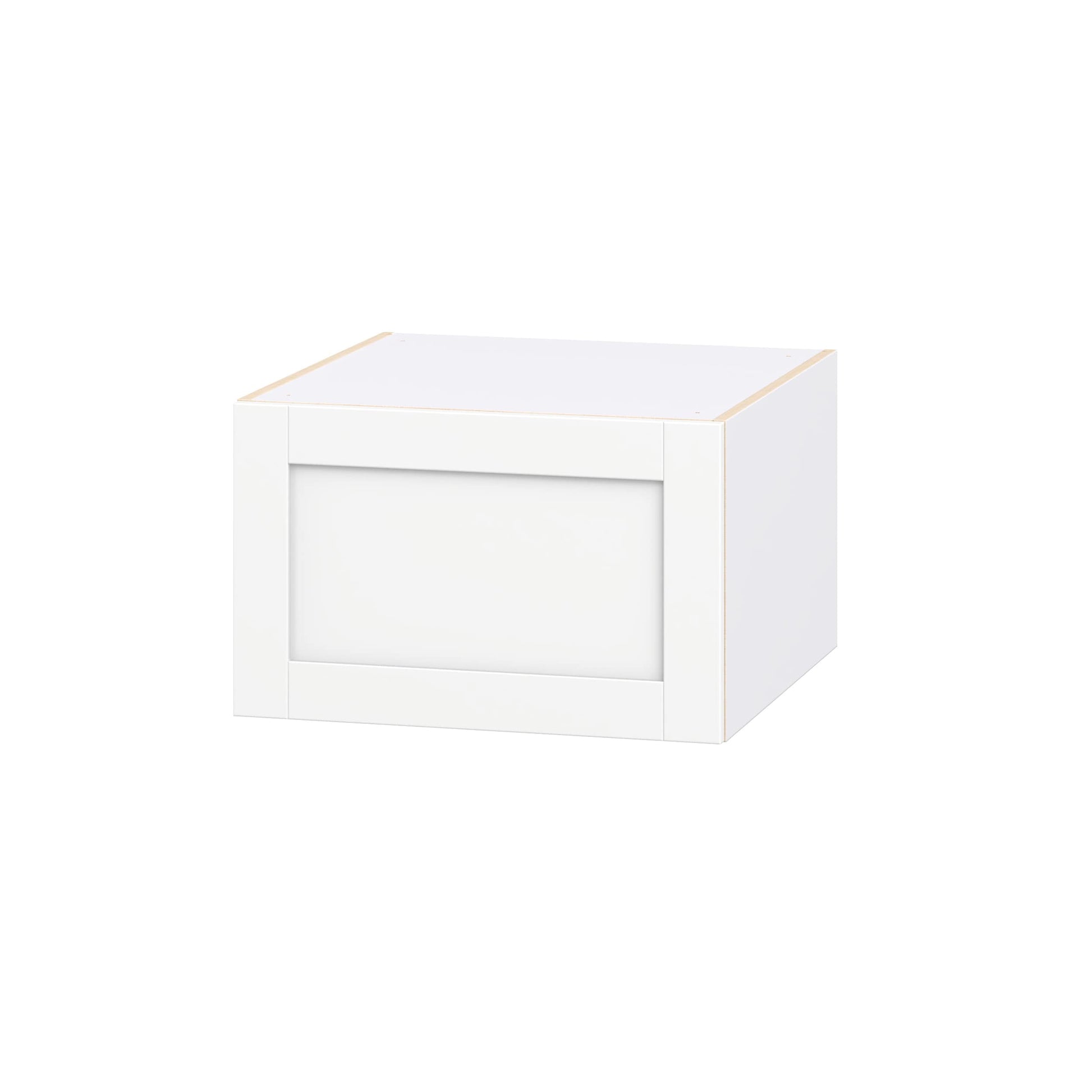 Hugo&Borg Rosemont 24-in W x 15-in H x 24-in D Bright White Wall Fully Assembled Cabinet Recessed Panel Shaker