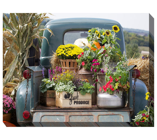 West of the Wind Outdoor Canvas Art Fresh Produce 40" x 30"