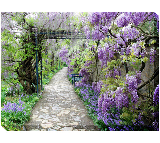 West of the Wind Outdoor Canvas Art Wisteria Path 40" x 30"