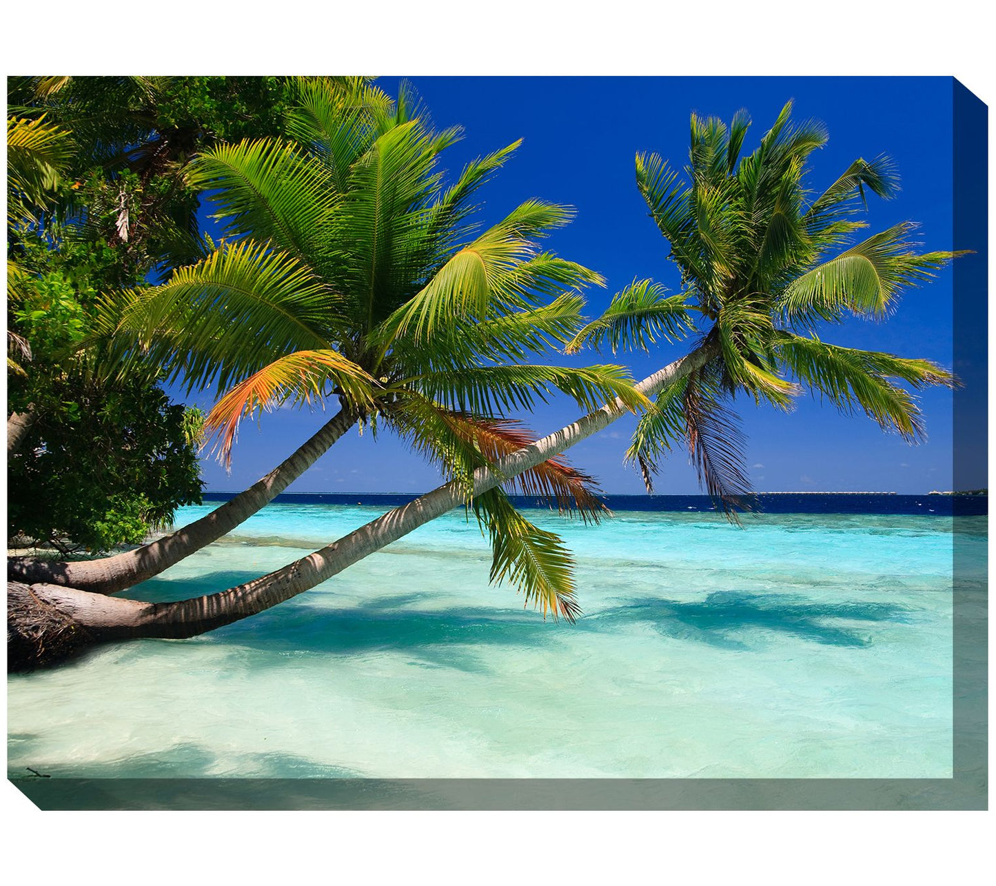 West of the Wind Outdoor Canvas Art Palms Duo 40" x 30"