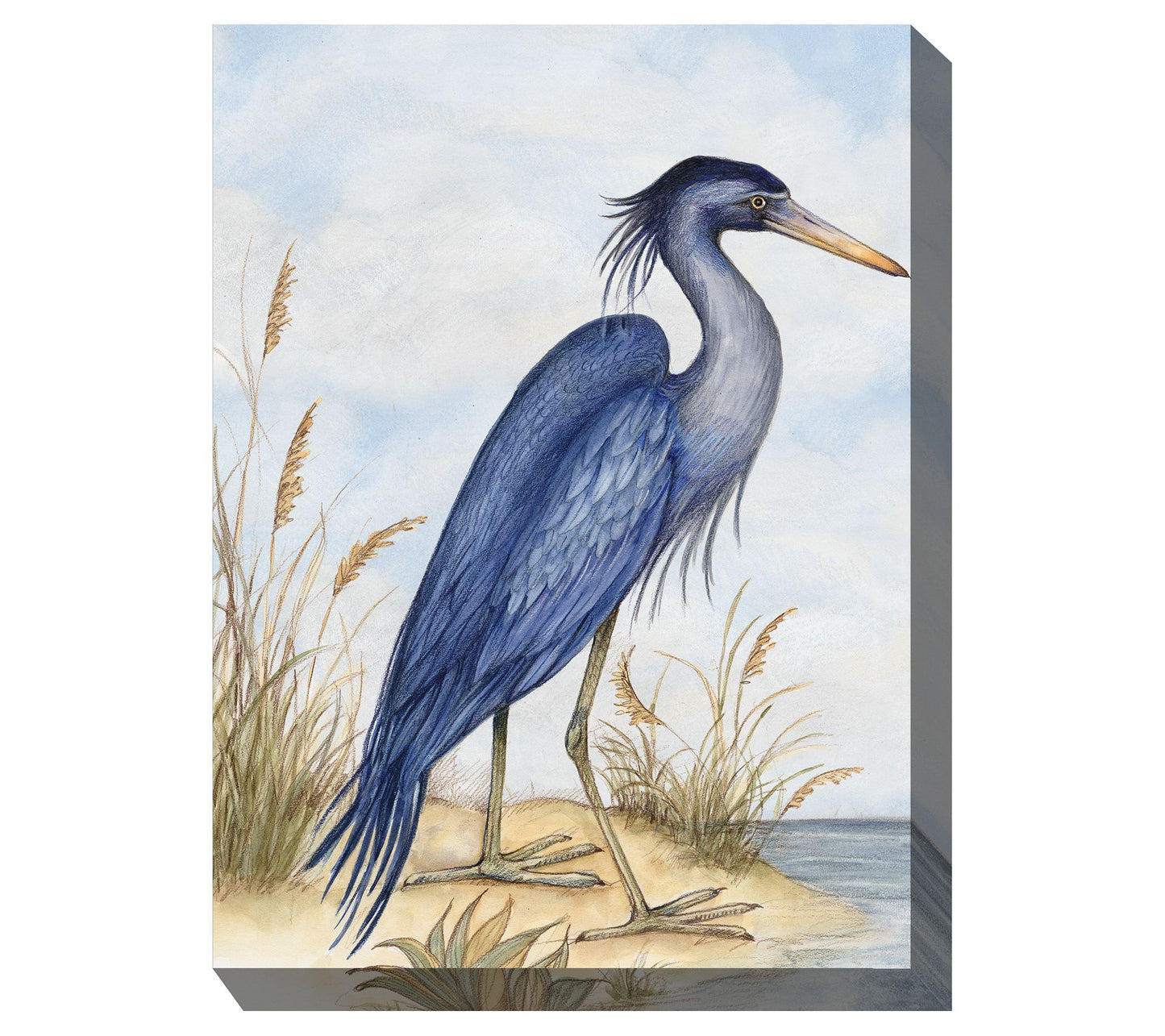 West of the Wind Great Blue Heron Outdoor CanvaArt 30x40