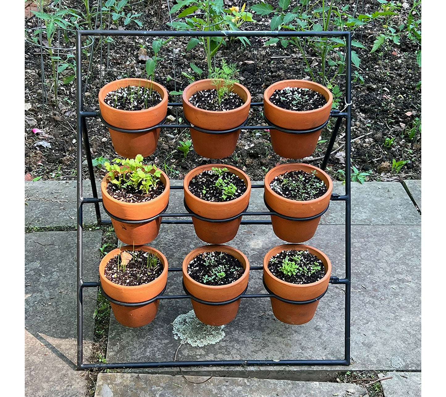 Kings County 9-Pot Plant Stand with 9 Terracott a Pots